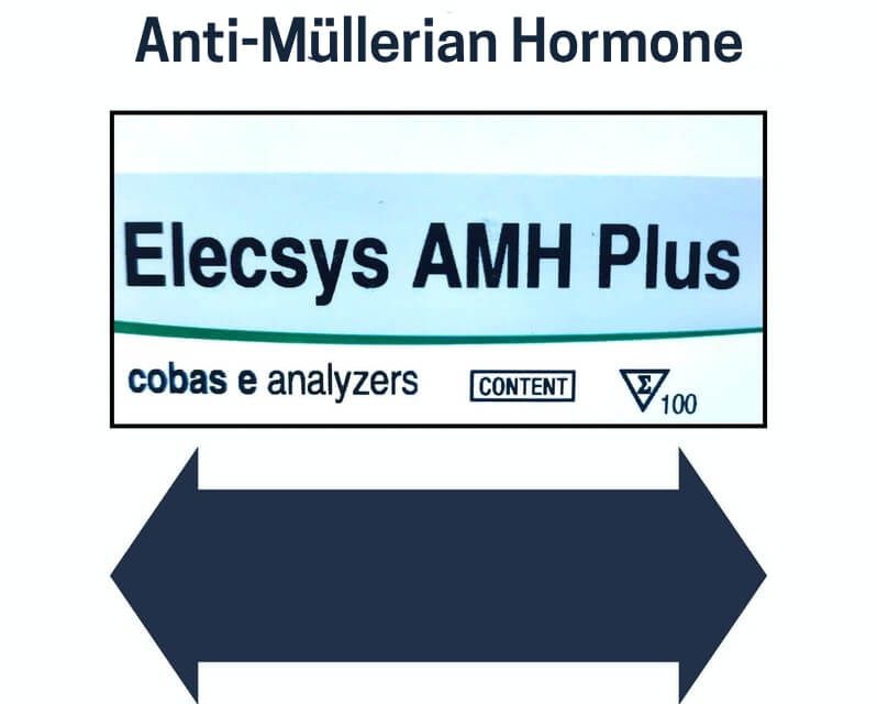 Blood Tests Anti-Müllerian Hormone (AMH) test – assessment of ovarian reserve
